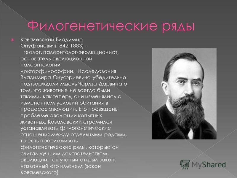 Егор петрович ковалевский: биография
