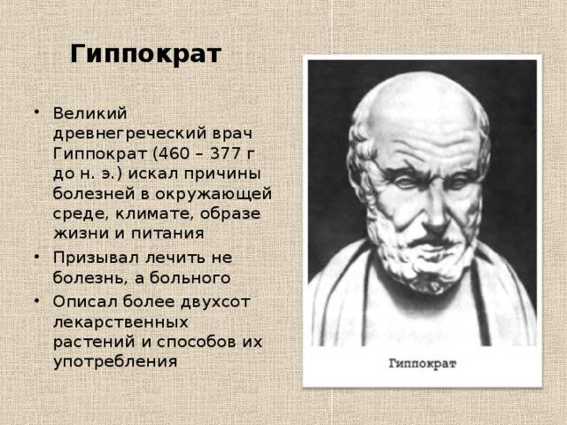 Гиппократ: краткая биография и важные открытия, сделанные для человечества :: syl.ru