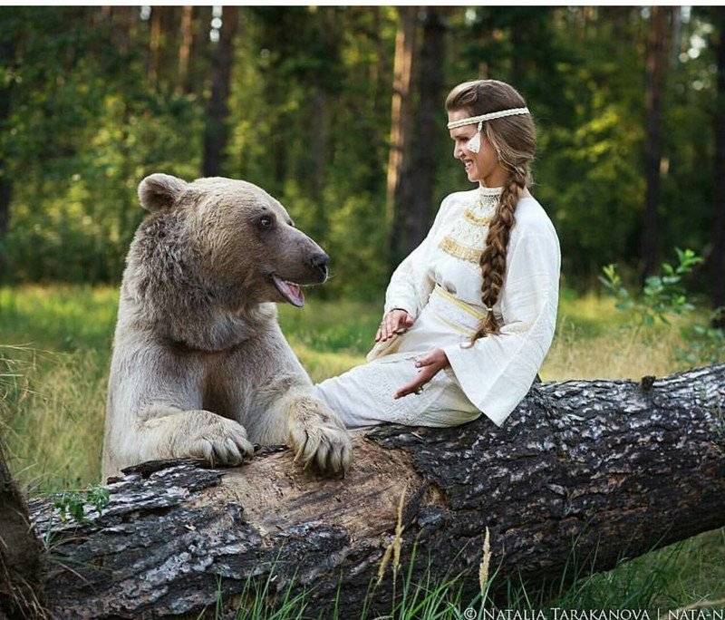 Медведь, александр васильевич — википедия