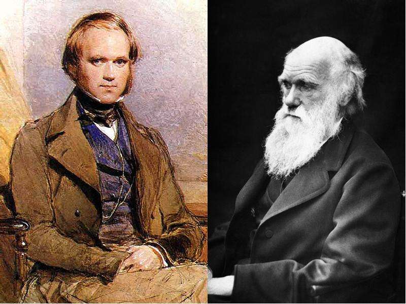 ​чарльз дарвин - английский натуралист и путешественник, создатель теории эволюции — общенет