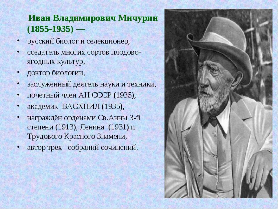 Иван владимирович мичурин — краткая биография