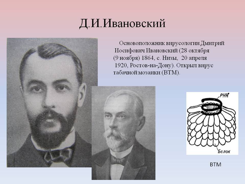 Ивановский, дмитрий иосифович