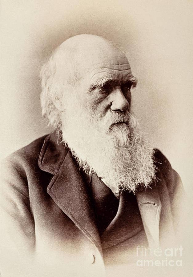 Дарвин, Чарльз Роберт