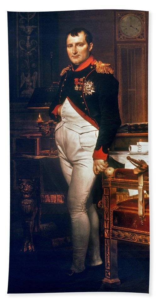 Наполеон бонапарт: биография, интересные факты и видео
