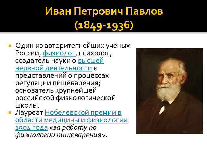 Краткая биография и главные даты жизни павлова ивана петровича (wolcha.ru)