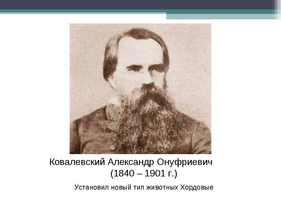 Ковалевский, владимир онуфриевич — википедия