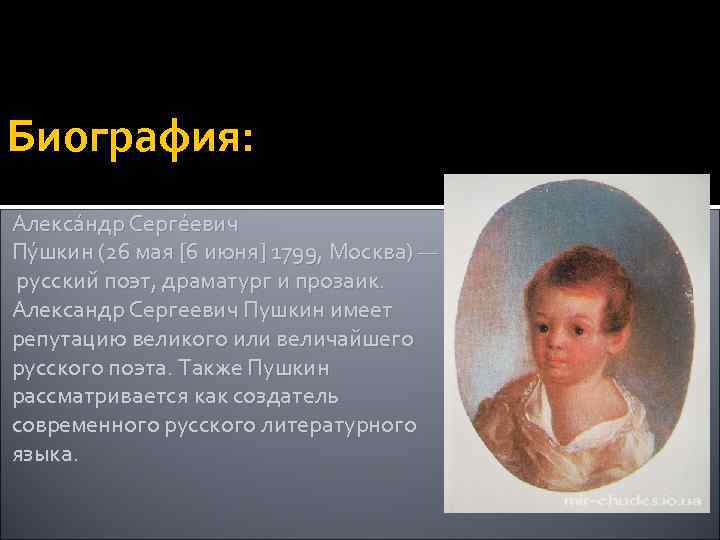 Биография а.с. пушкина для детей | цветы жизни
