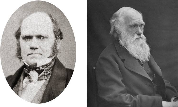 Чарлз дарвин - биография, информация, личная жизнь