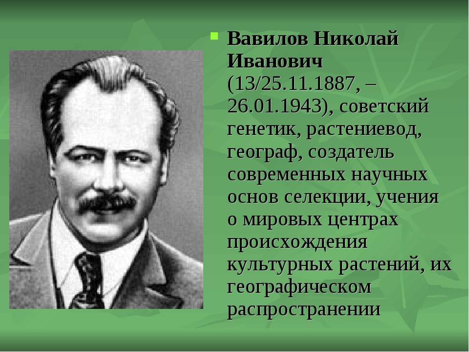 Николай иванович вавилов — знаменитый советский биолог