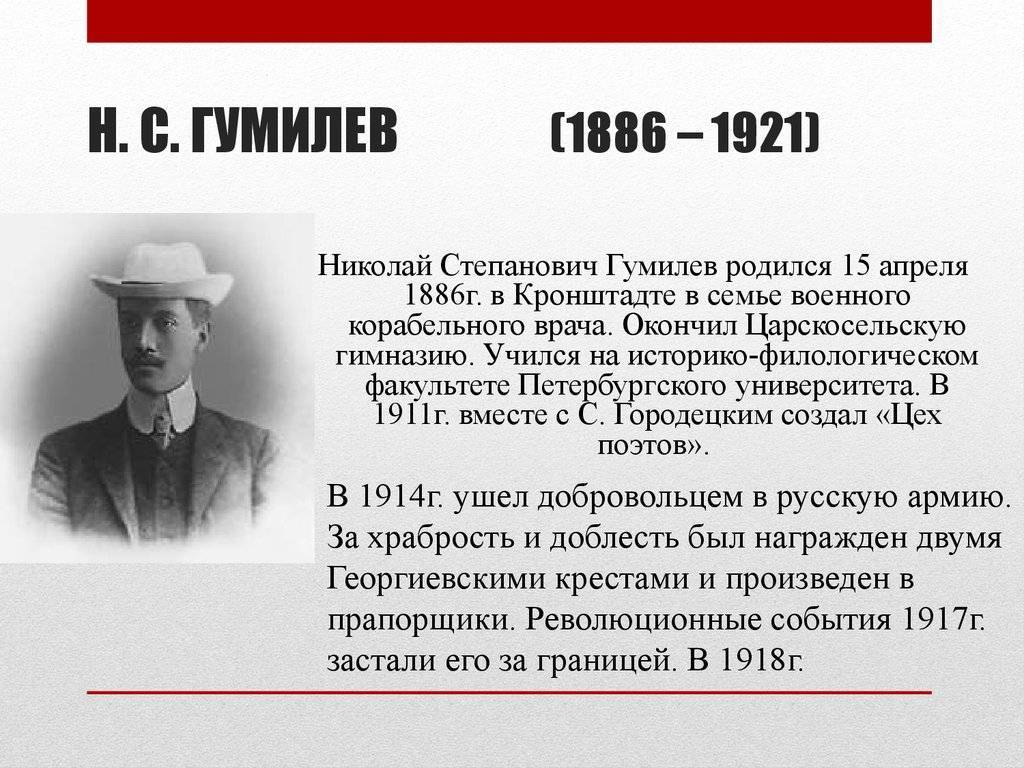 Николай гумилев - биография, информация, личная жизнь