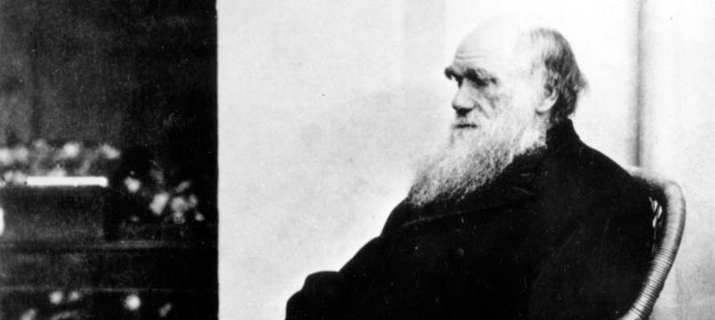 Чарльз дарвин — биография автора теории эволюции | исторический документ