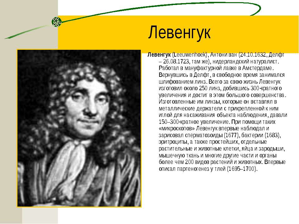 Какой метод использовал антони ван левенгук