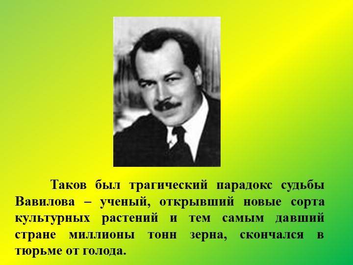 Николай вавилов – биография, фото, личная жизнь, вклад в науку - 24сми