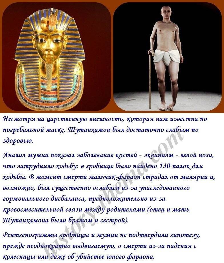 Тутанхамон: биография, фото и видео, тайны и загадки