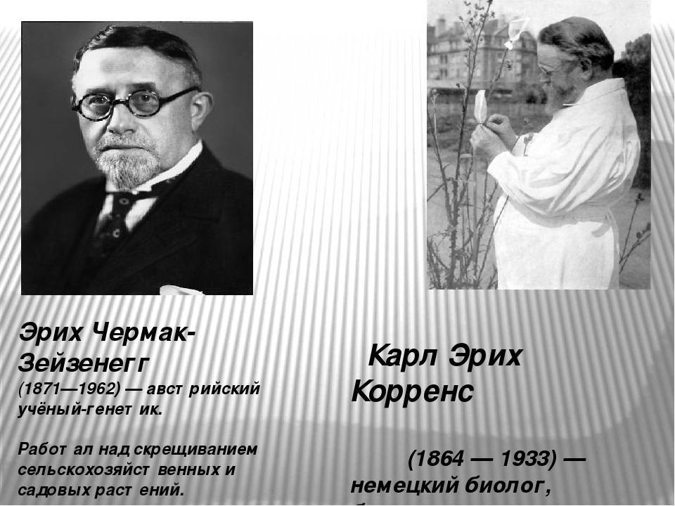 Николай иванович вавилов - советский ученый-биолог