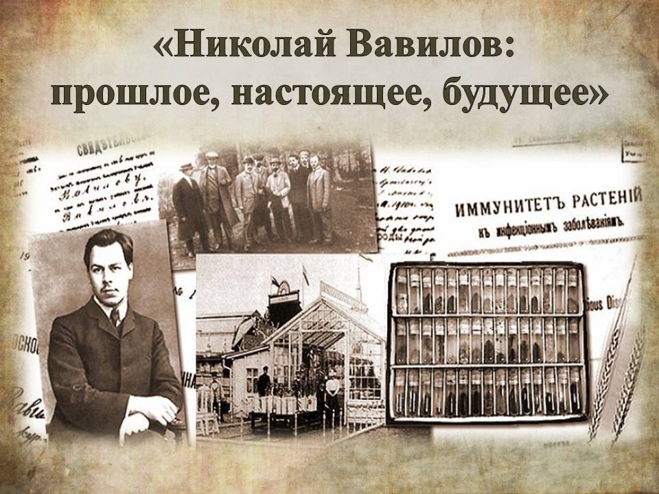 Николай иванович вавилов — интересные факты из жизни ученого