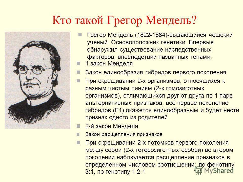 Биография грегора менделя: жизненный путь ученого