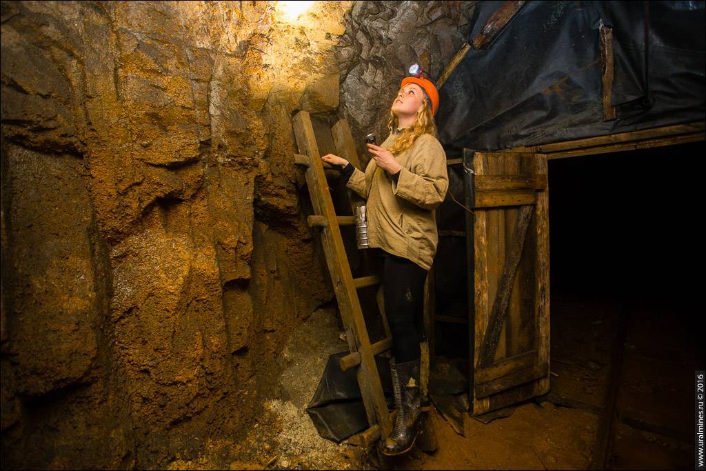 Рудник, давид яковлевич — википедия