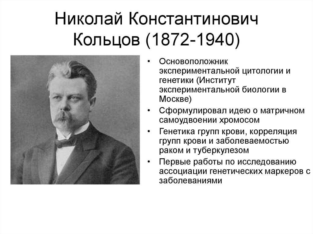 Кольцов, николай константинович — википедия