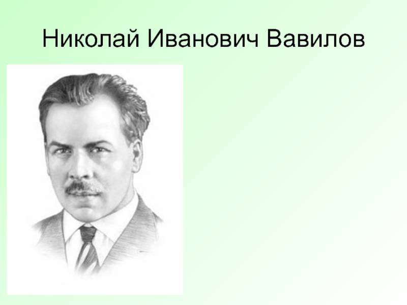 Николай вавилов – биография, фото, личная жизнь, вклад в науку - 24сми