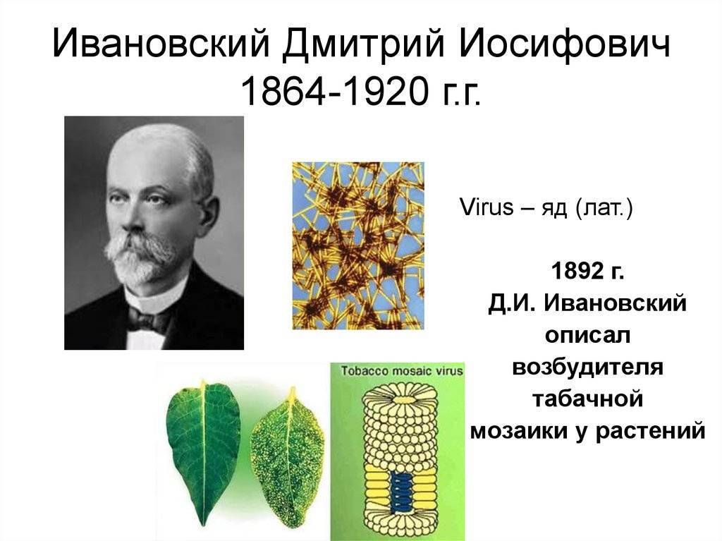 Ивановский, дмитрий иосифович - вики