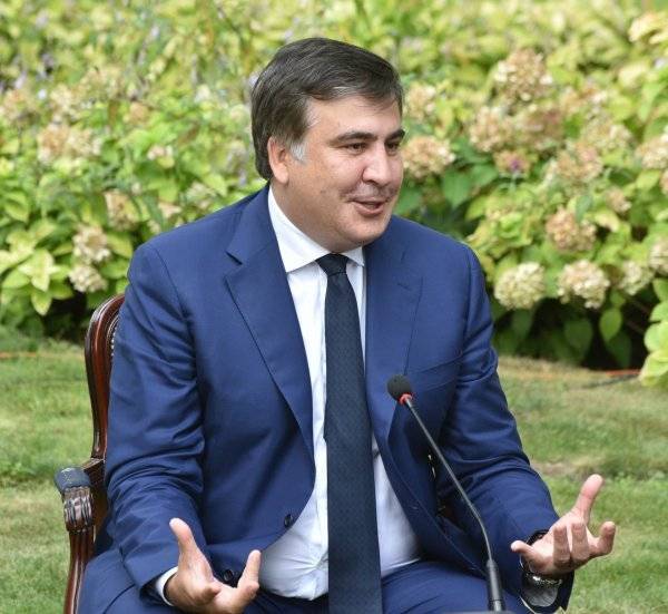 Михаил саакашвили: биография, карьера и личная жизнь