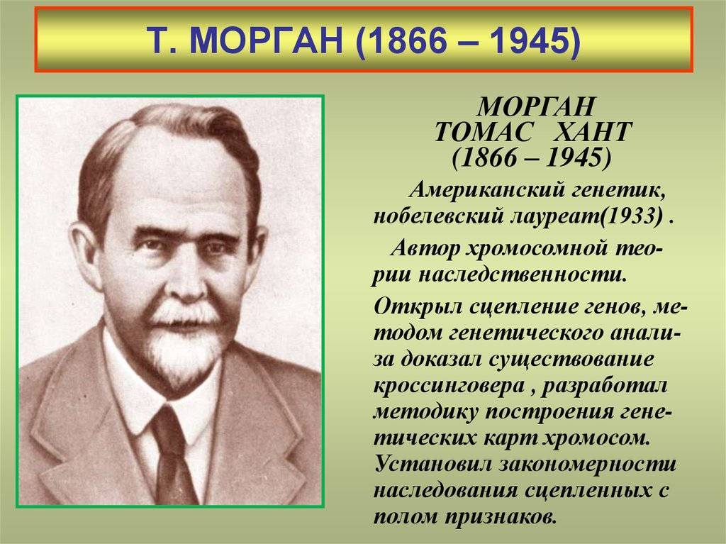 Томас морган | cell biology.ru