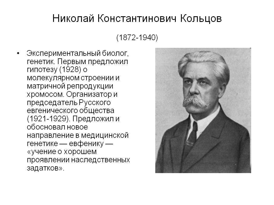 Кольцов, николай константинович — википедия. что такое кольцов, николай константинович