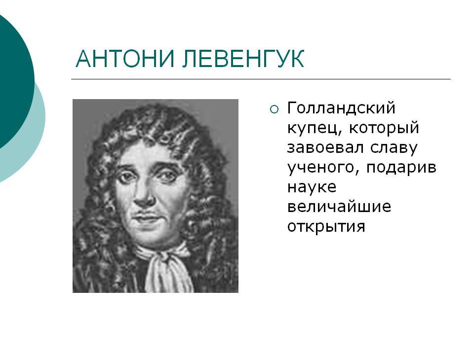 Ливенгук. Антоний Ван Левенгук. Голландец Антони Ван Левенгук. Антони Ван Левенгук открытия. Антони Ван Левенгук в биологии.