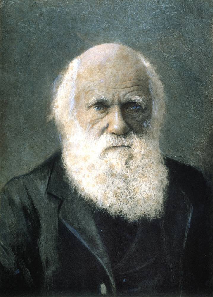 ​чарльз дарвин - английский натуралист и путешественник, создатель теории эволюции — общенет