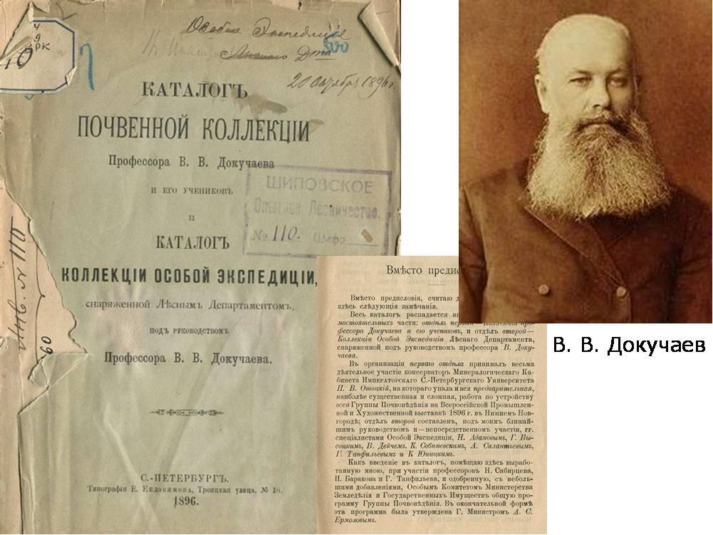Василий васильевич докучаев биография, образование, геолого-геоморфологические исследования, создание генетического почвоведения