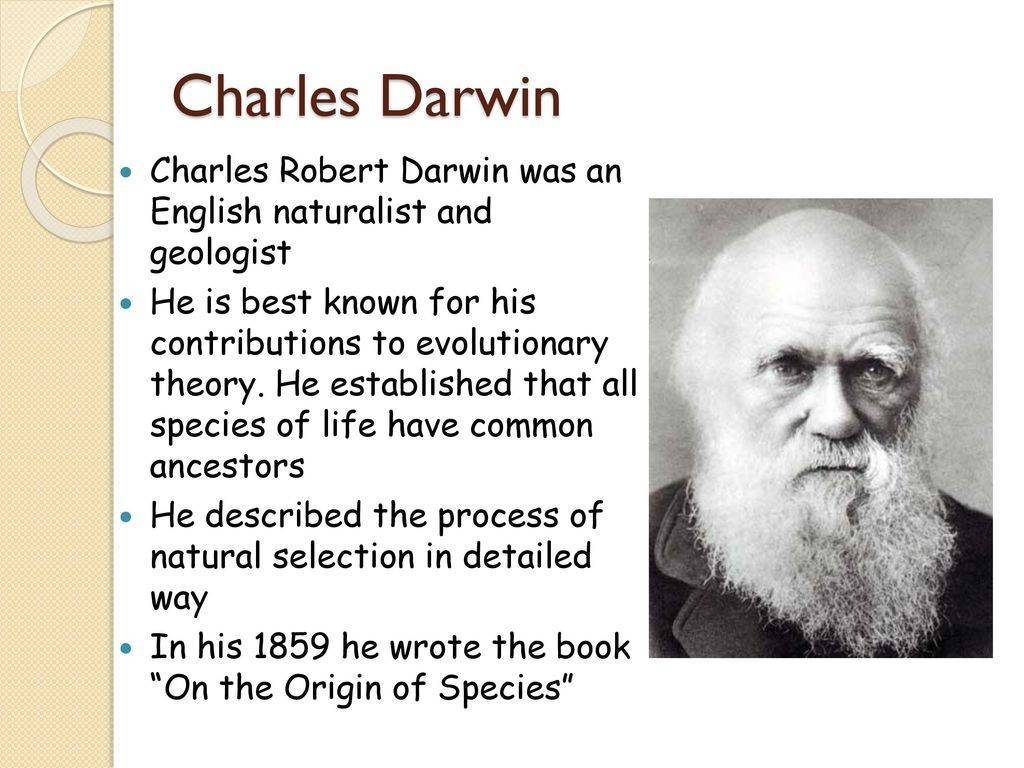 Чарльз дарвин: биография, открытия и достижения в науке