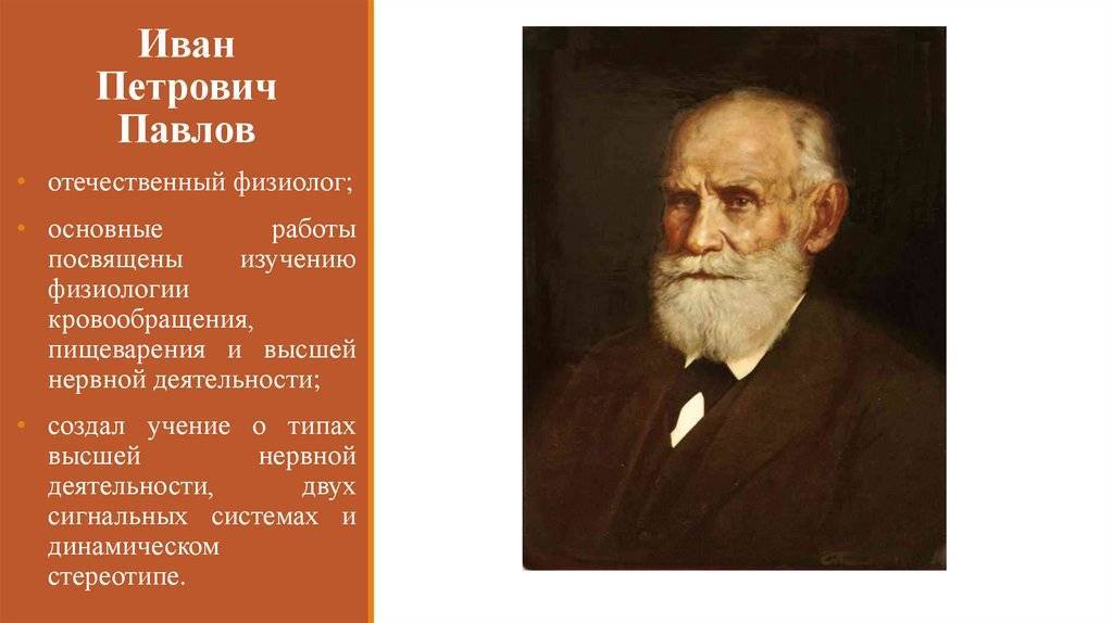 Иван петрович павлов: биография, научная деятельность, коллекционирование ученого, выдающиеся труды.