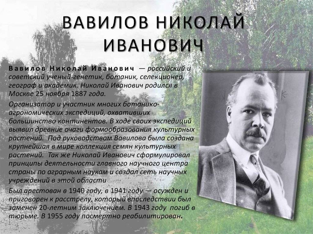 Николай иванович вавилов (1887-1943) - мое семейное древо