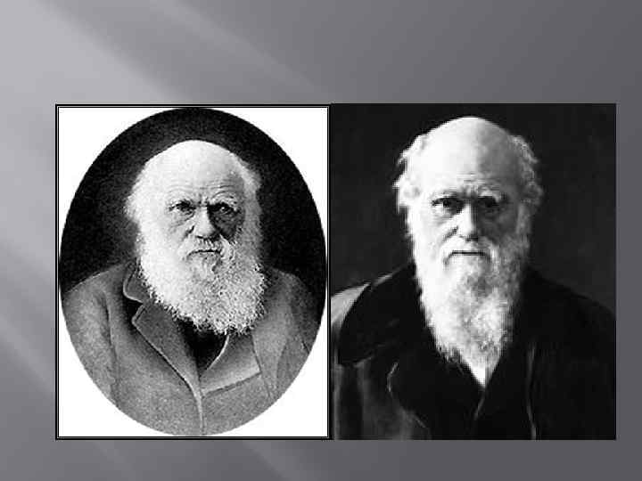 Дарвин чарльз - биография, новости, фото, дата рождения, пресс-досье. персоналии глобалмск.ру.