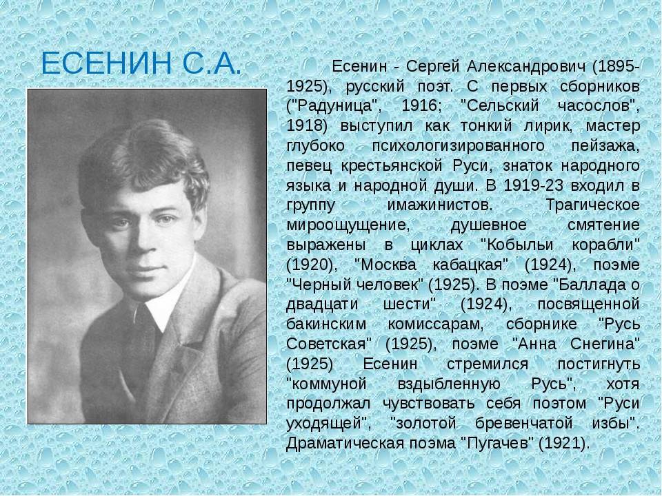 Сергей есенин: биография гениального поэтического хулигана русской литературы xx века